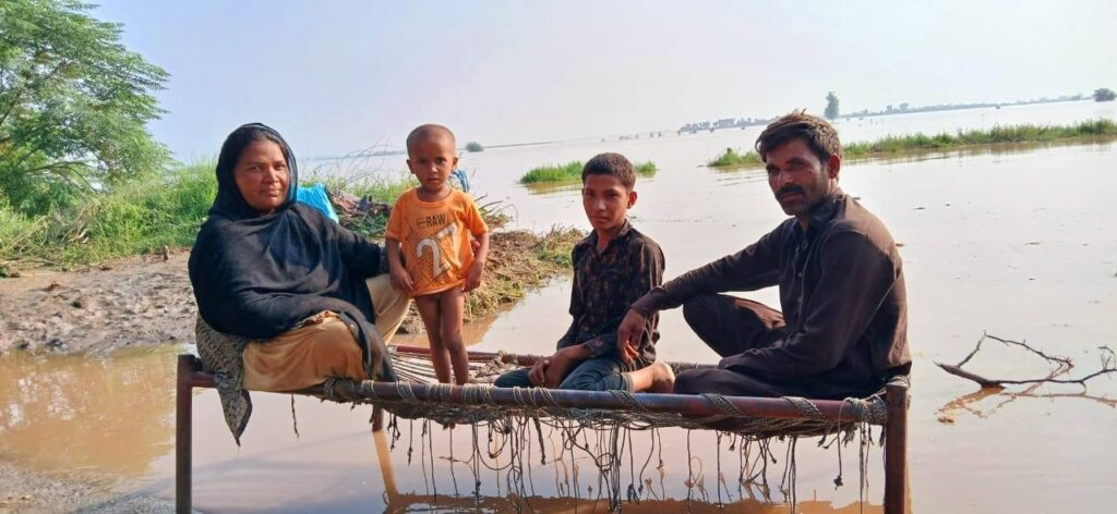 Services WhatsApp Image 2025 09 02 At 12.37.40 AM 2 1024x472